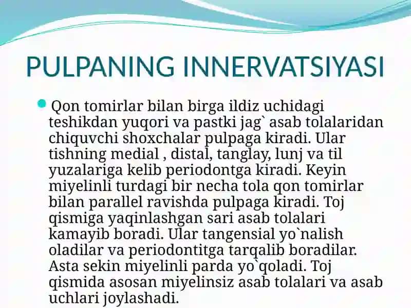 Tish pulpasi 2