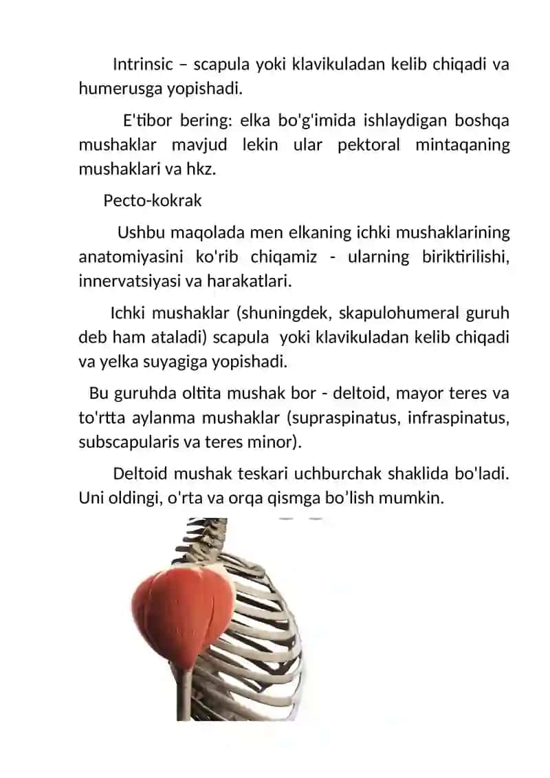QOLNING KLINIK VA TAPOGRAFIK ANATOMIYASI 2