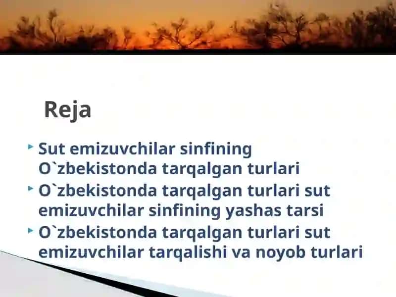 Sutemizuvchilarsinfi 2