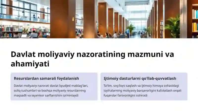 Davlat moliyaviy nazoratining o'ziga xos xususiyatlari 2