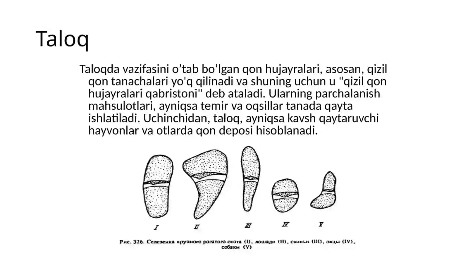 Taloq 2