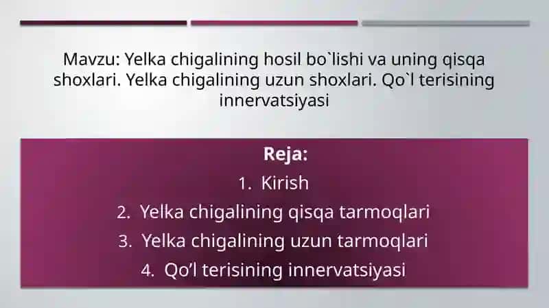 Yelka chigali anatomiyasi 2