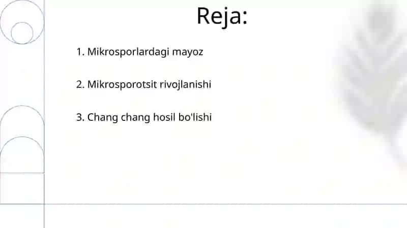 Mikrosporagenez 2