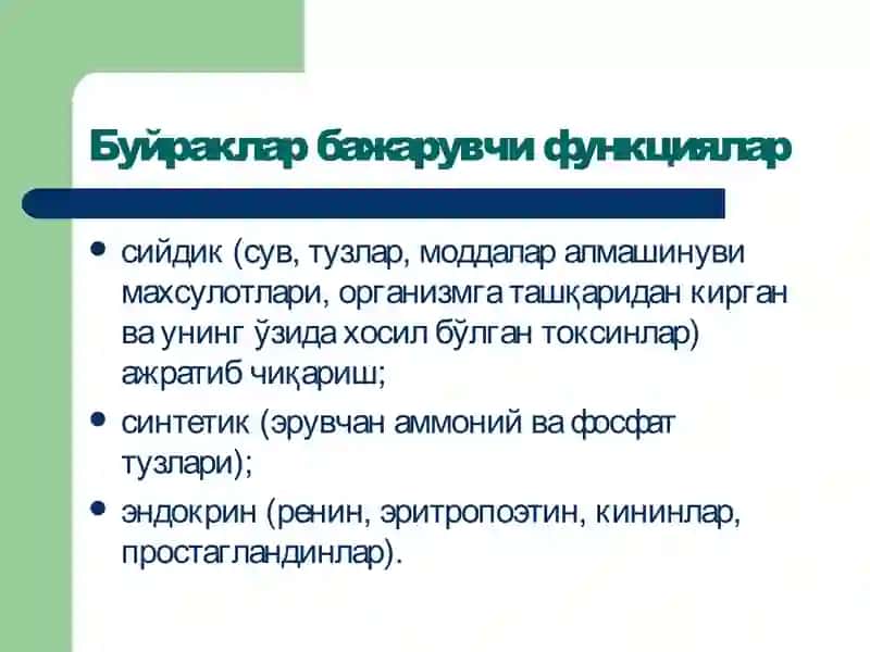 Буйраклар патофизиологияси 2
