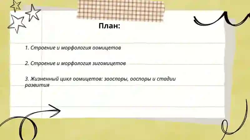 Классы оомицеты и зигомицеты 2