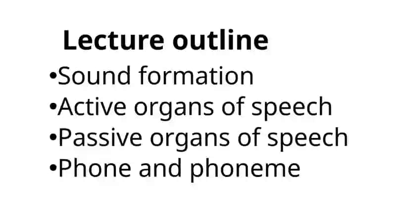 THE ORGANS OF SPEECH 2