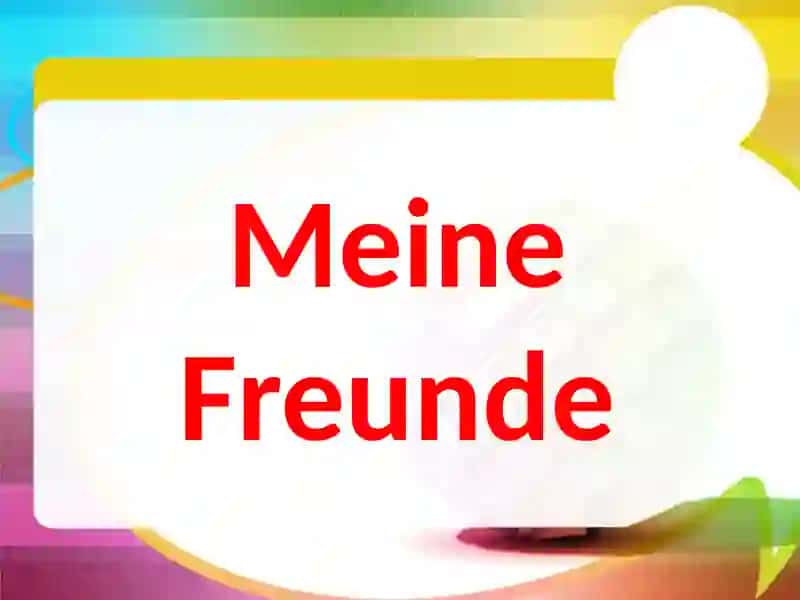 Meine Freunde 2