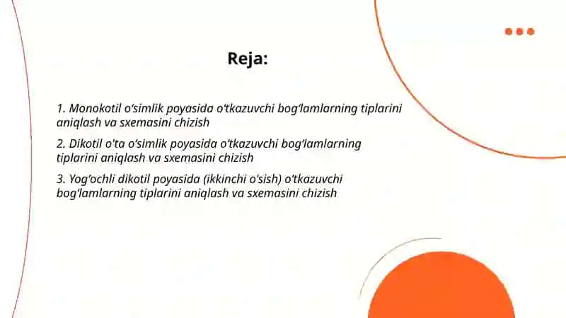 Monokotil oʻsimlik poyasi 2