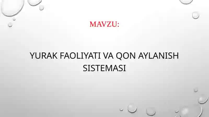 Yurak faoliyati va qon aylanish tizimi 2