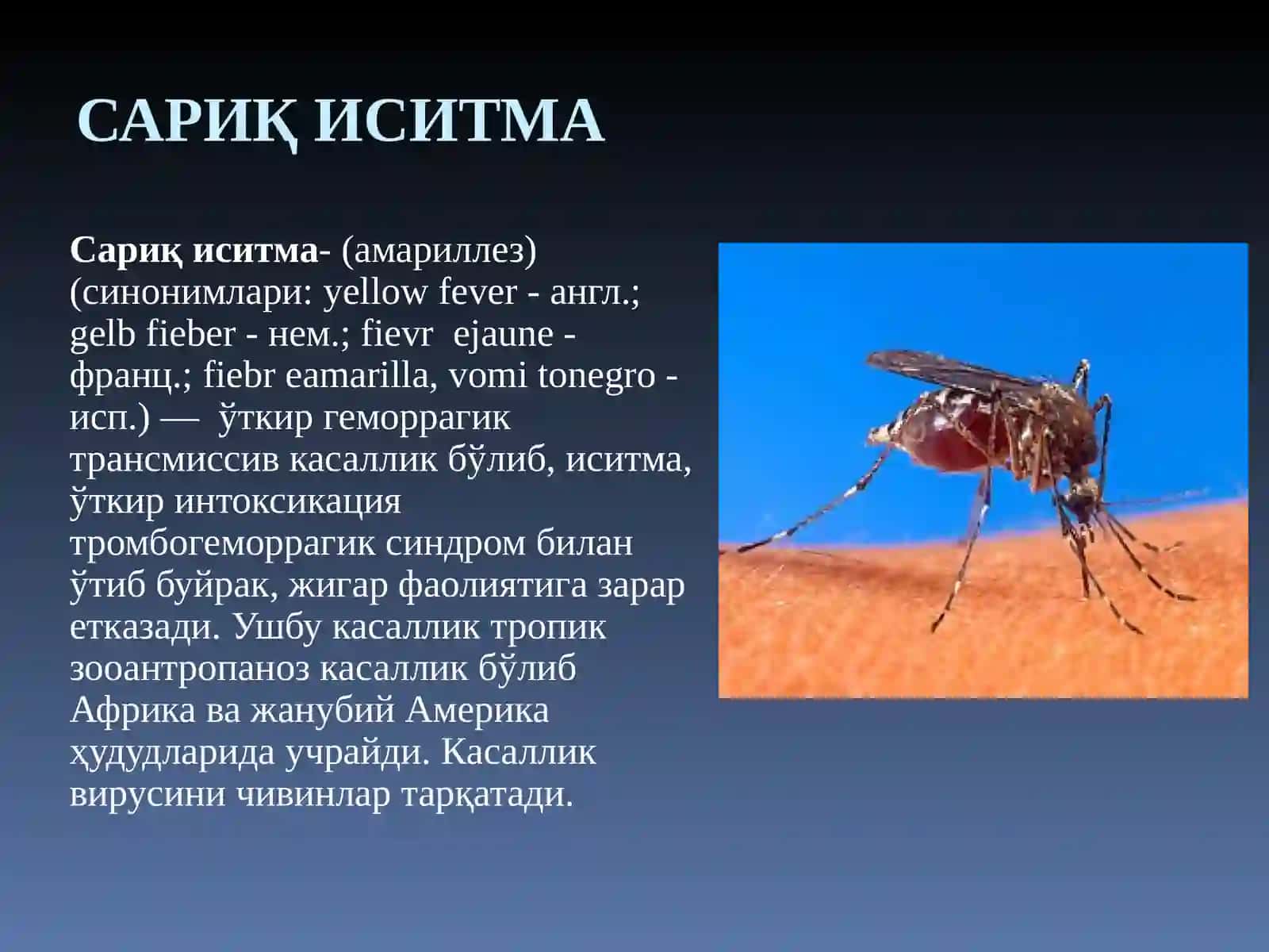 Сариқ иситма 2