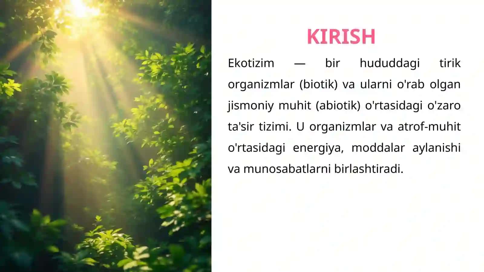 EKOTIZIM NIMA? (EKOSISTEMA) 2