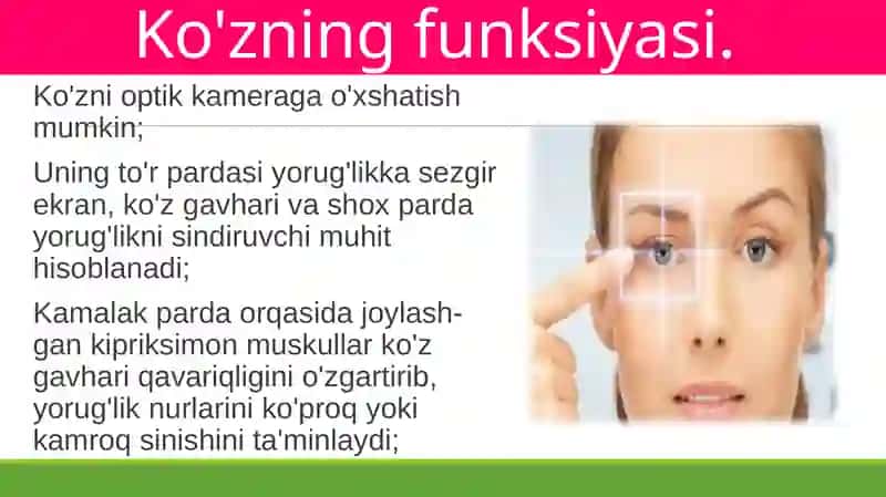 Ko'rish organlarining funksiyasi 2
