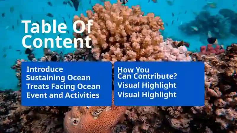 World Ocean Day 2