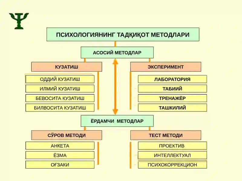 Умумий психология 2