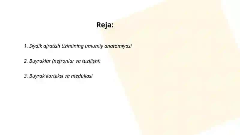 Siydik ajratish tizimi 2