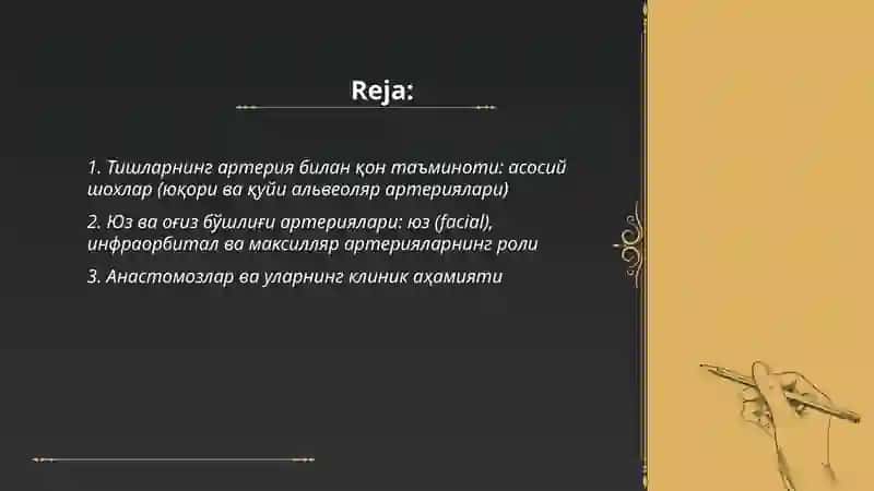 Тишларнинг кон таъминоти ва клиник ахамияти 2