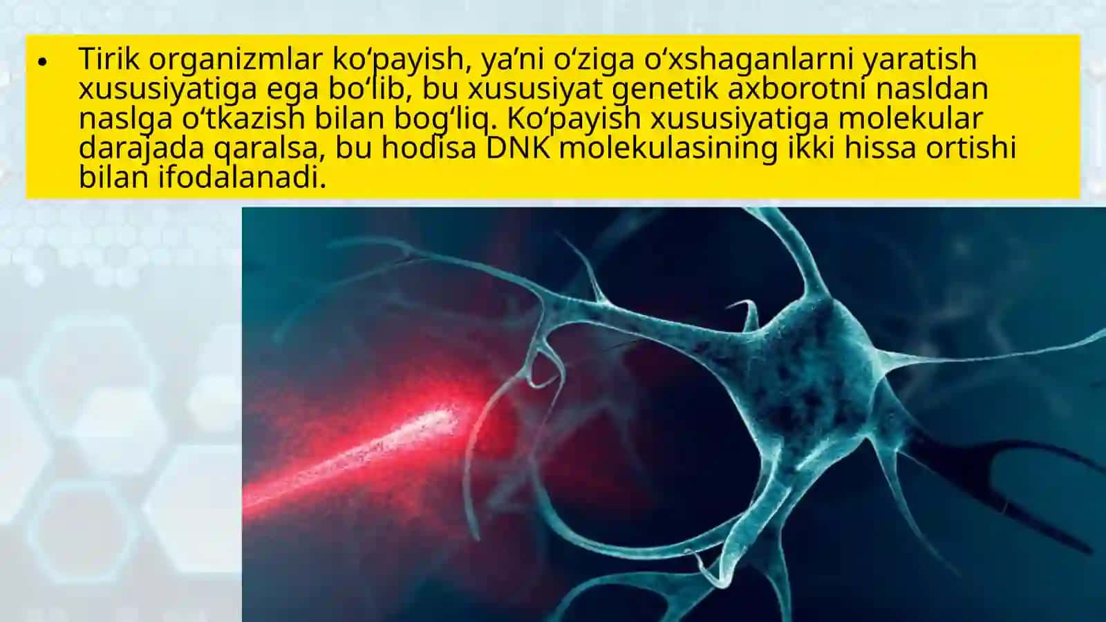 Hujayra nazaryasi 2