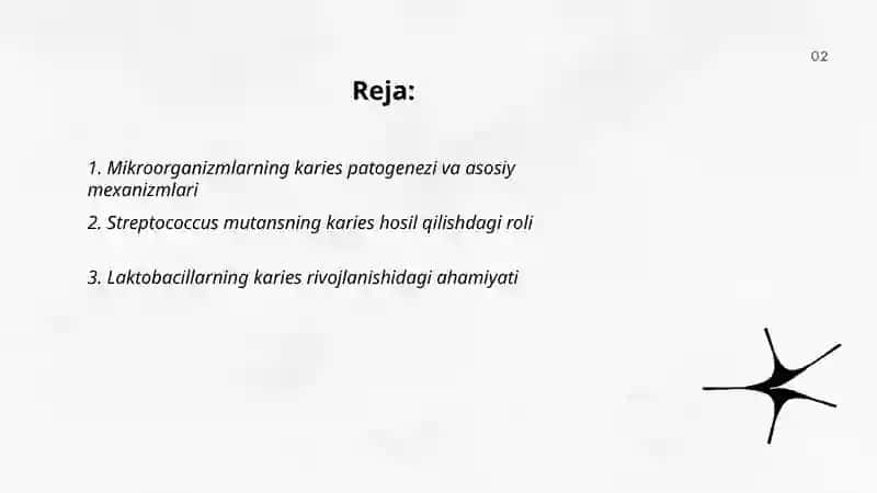 Mikroorganizmlarning Kariesdagi Roli 2