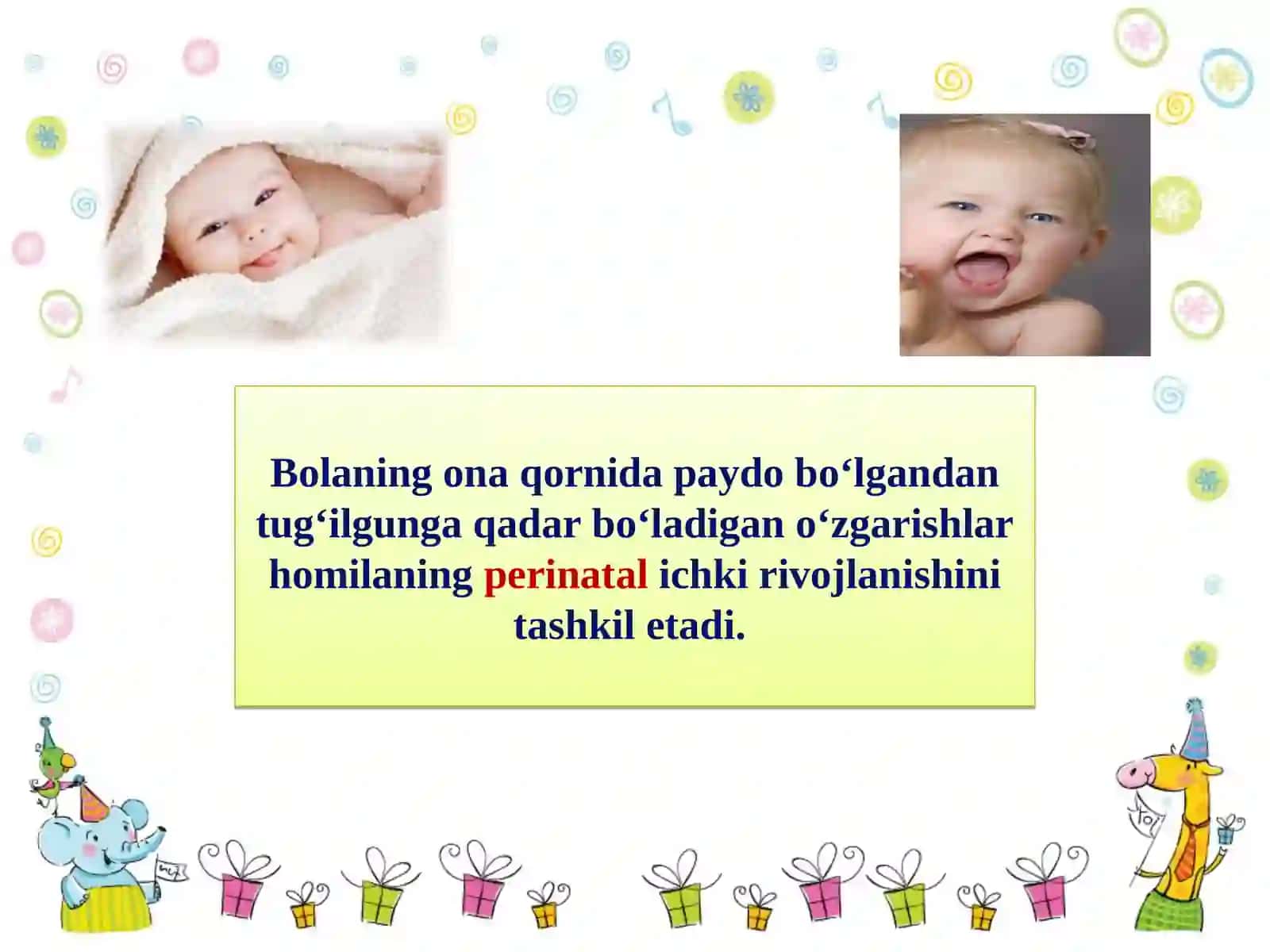Zigota 2