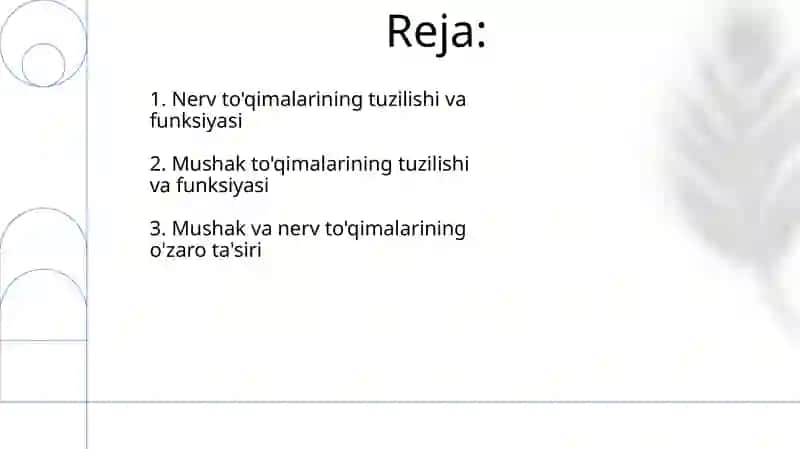 Muskul va Nerv toʻqimasi 2