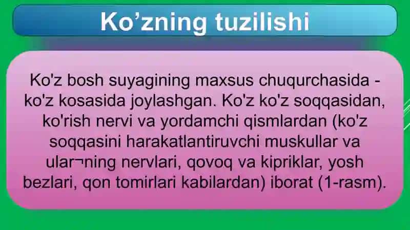 Ko’zning tuzilishi va funksiyasi 2