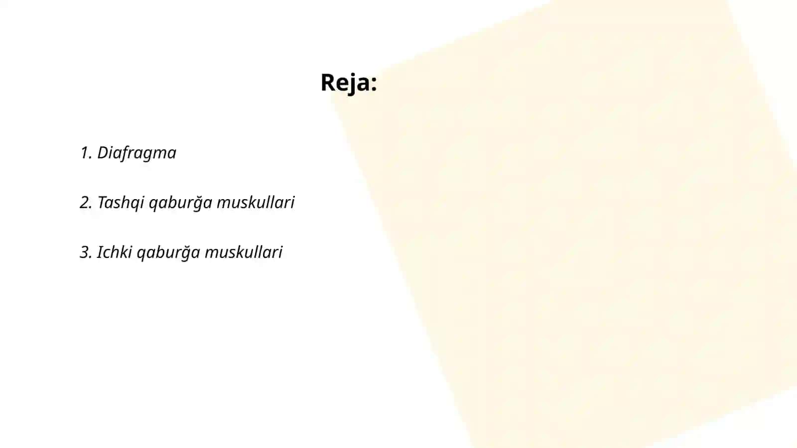 Nafas olish muskullari 2