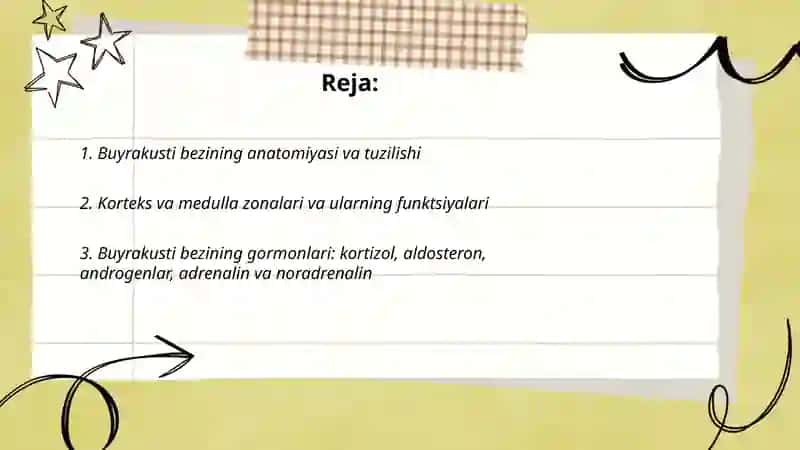 Buyrakusti bezi 2