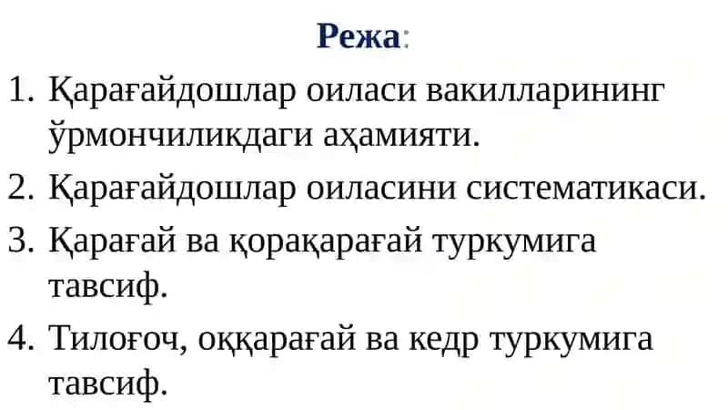 Қарағайдошлар оиласи 2
