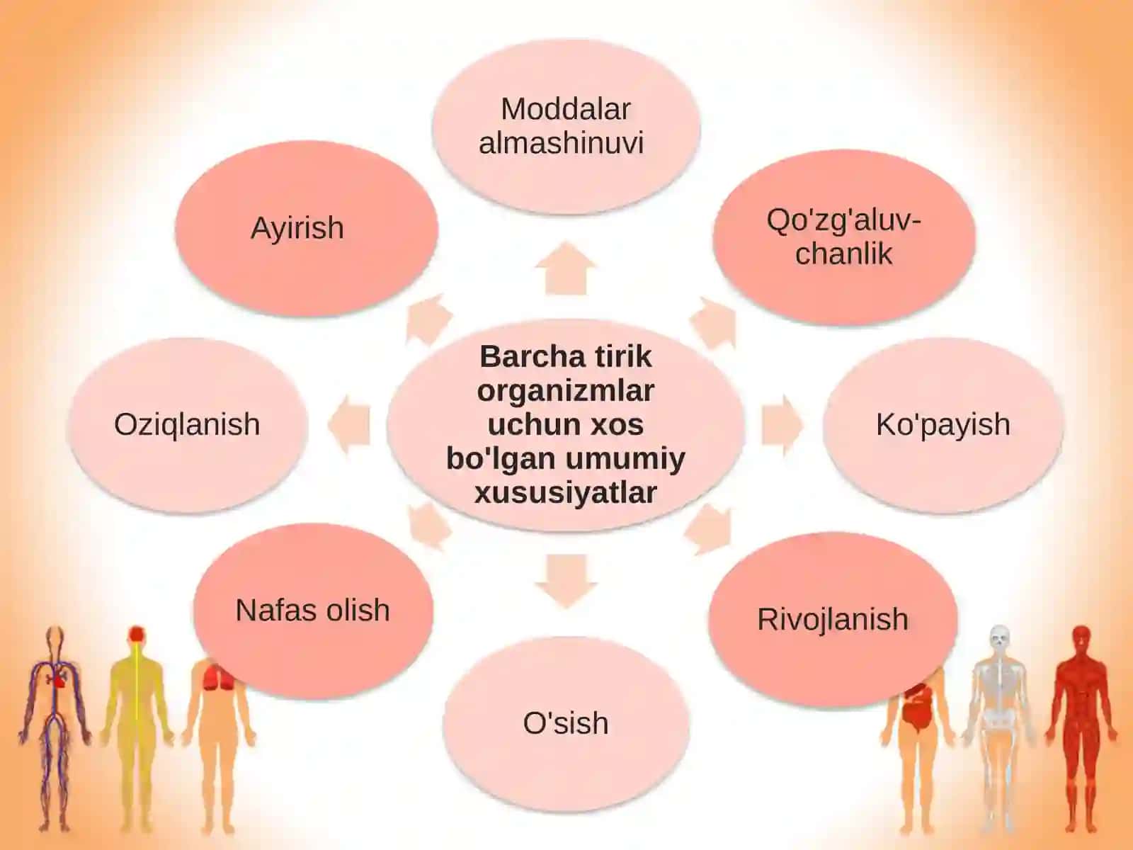 Hujayrava organizmning hayotiy xossalari 2