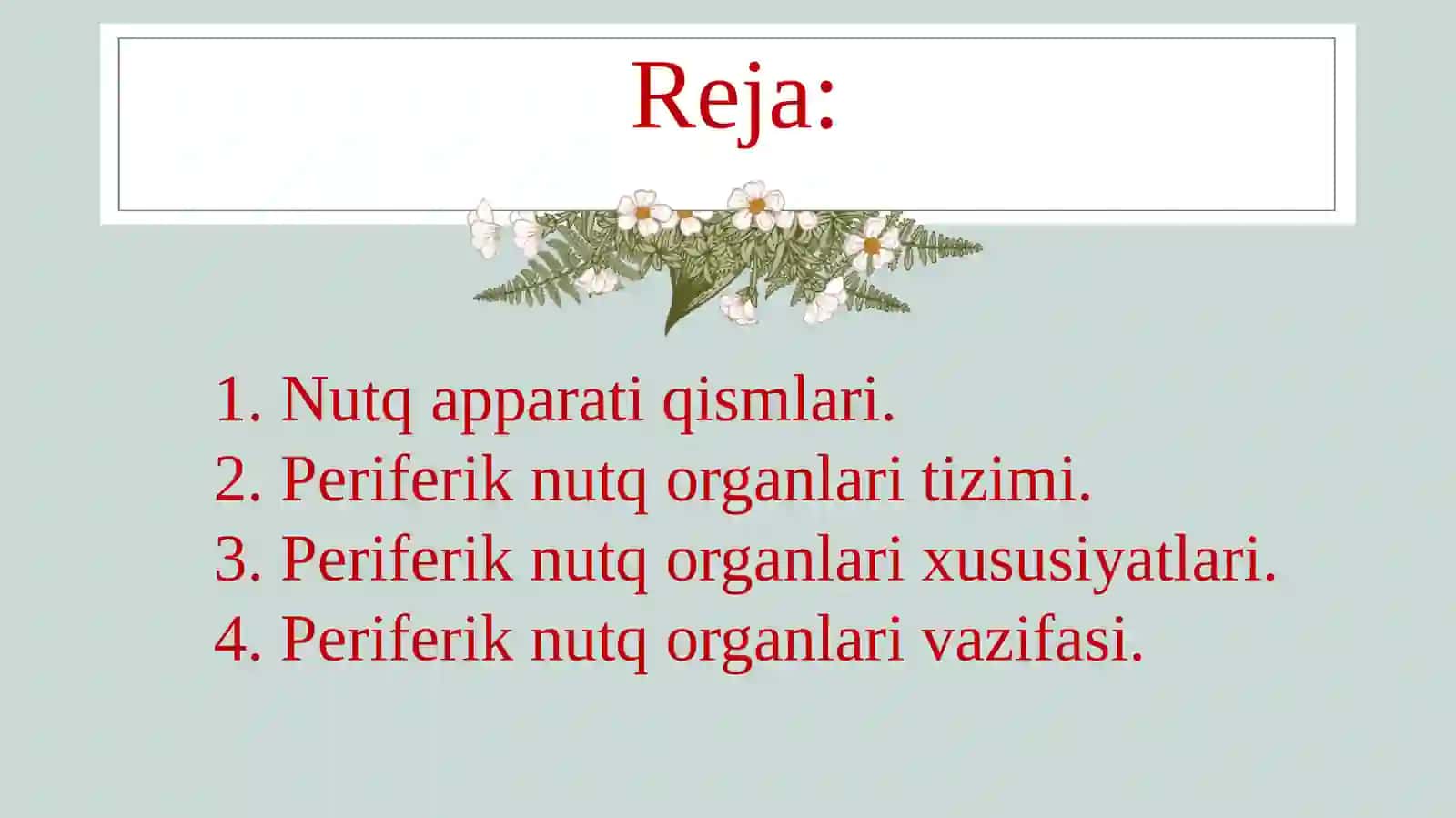 Periferik nutq organlari tizimi 2