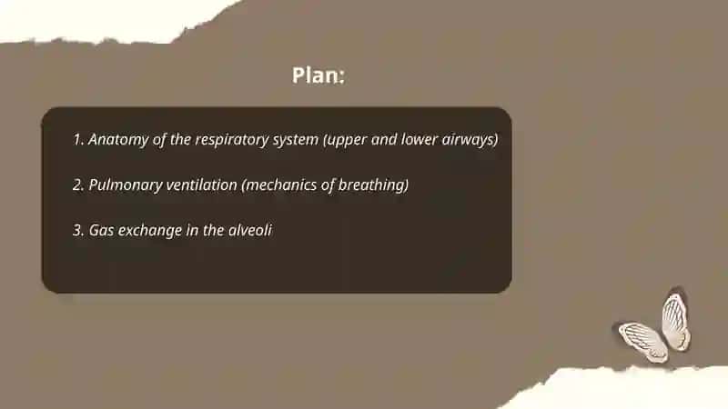 Respiratory system 2