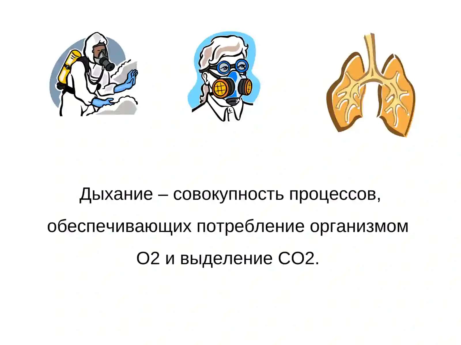 Функциональная диагностика дыхательной системы 2
