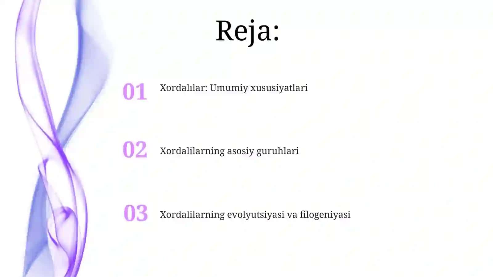Xordalılar: Umumiy xususiyatlari 2