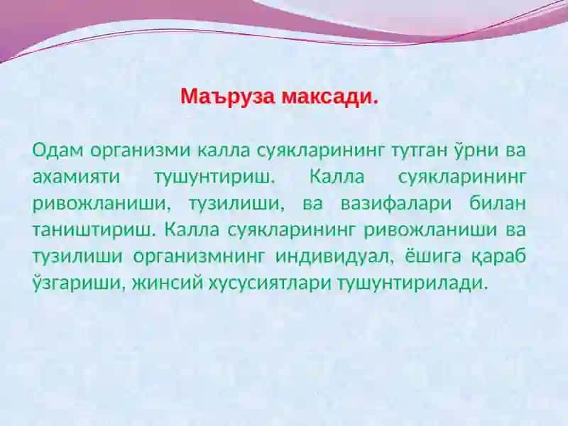 КАЛЛА СУЯКЛАРИНИНГ ТАРАҚҚИЁТИ ВА ТУЗИЛИШИ 2