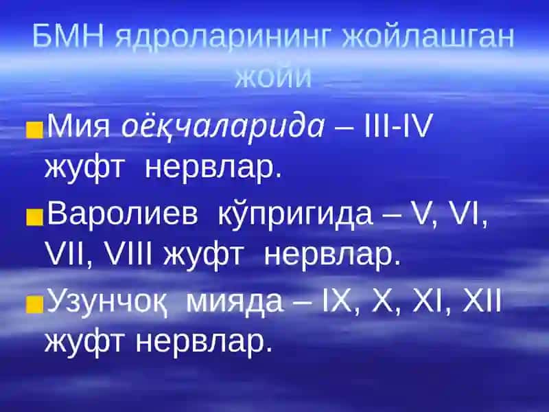 Нервлар классификацияси 2