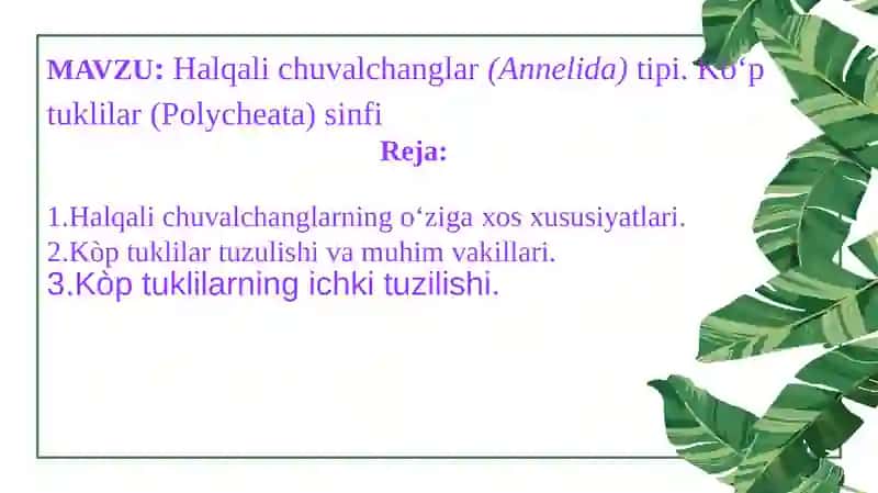 Halqali chuvalchanglar (Annelida) tipi 2