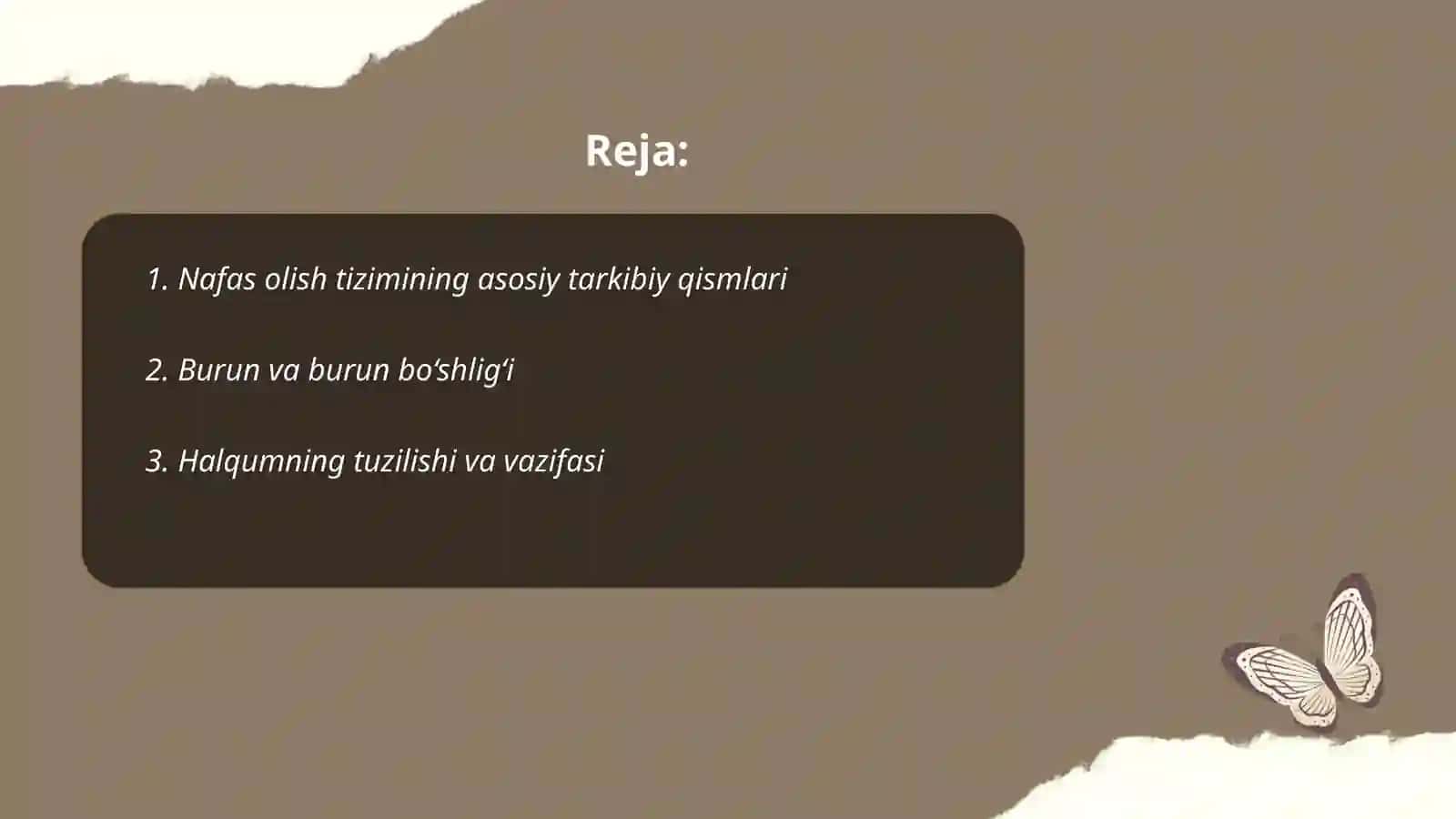 Nafas olish tizimining tuzilish 2