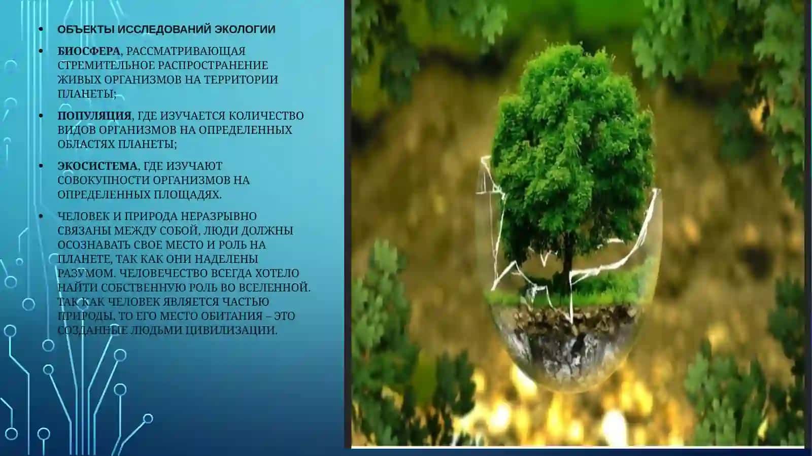 Экология наука об охране окружаношей среды 2
