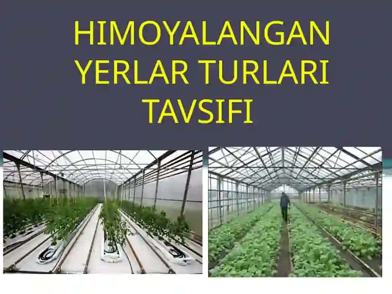HIMOYALANGAN YERLAR TURLARI TAVSIFI 2