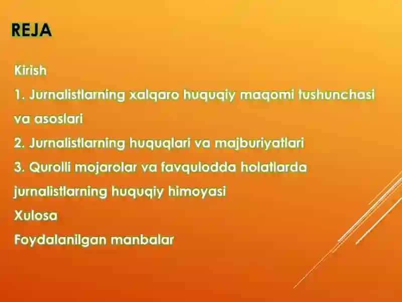 Jurnalistlik faoliyati 2