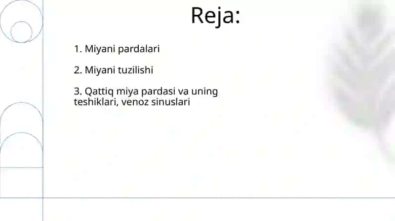Bosh miyaning tuzilishi 2
