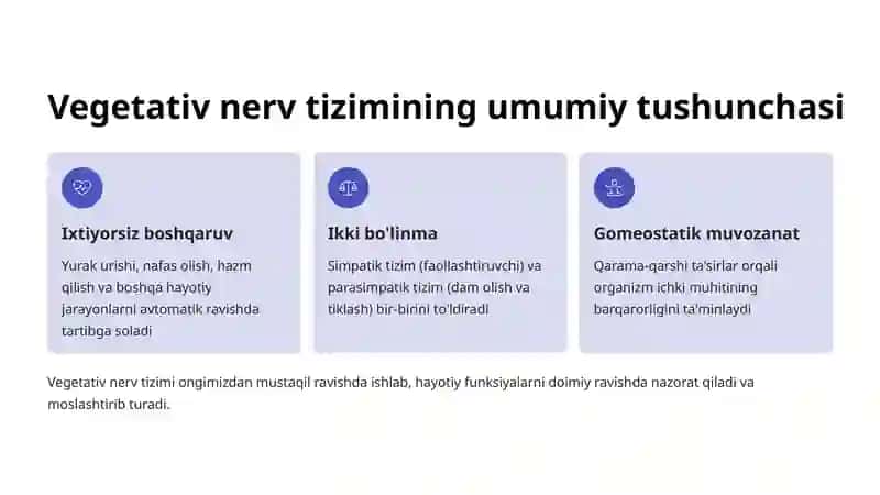Vegetativ nerv tizimi 2