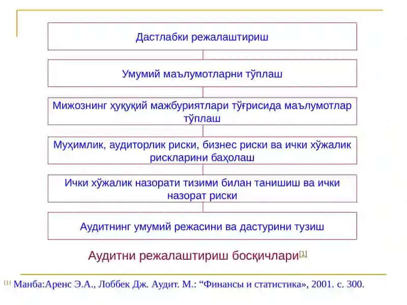 Аудитни режалаштириш ва ташкил этиш 2