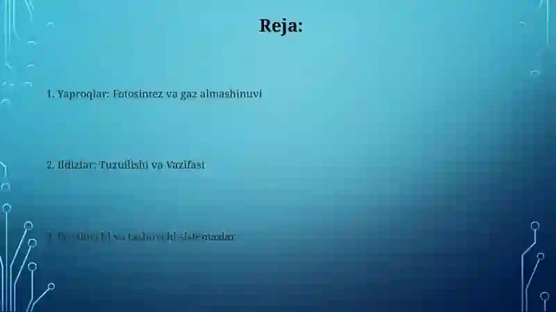 Oʻsimlik organlarini taqqoslash 2