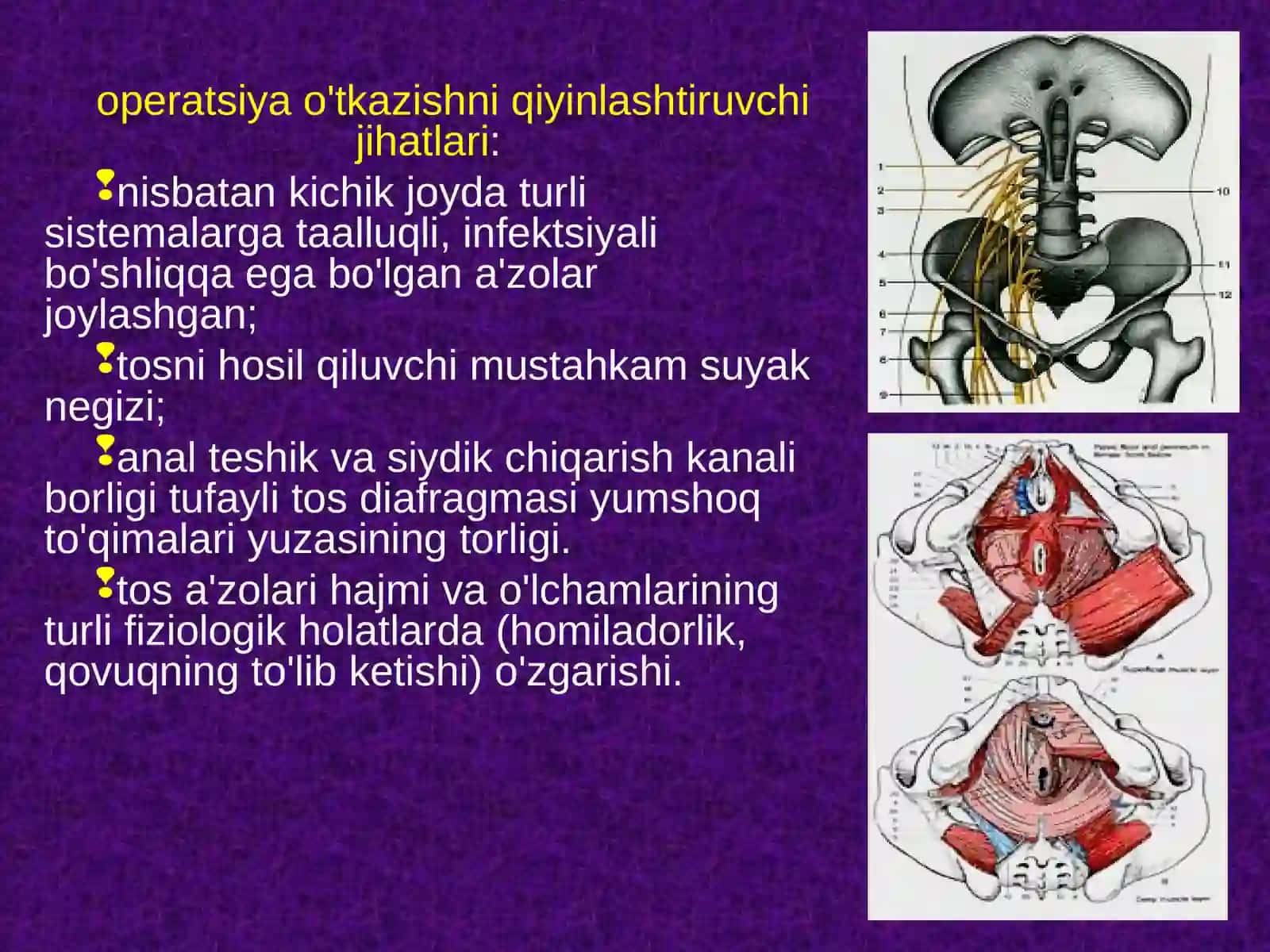 Tos chanog'i topografikanatomiyasi 2