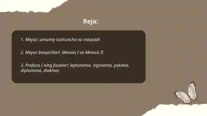 Meyoz 2