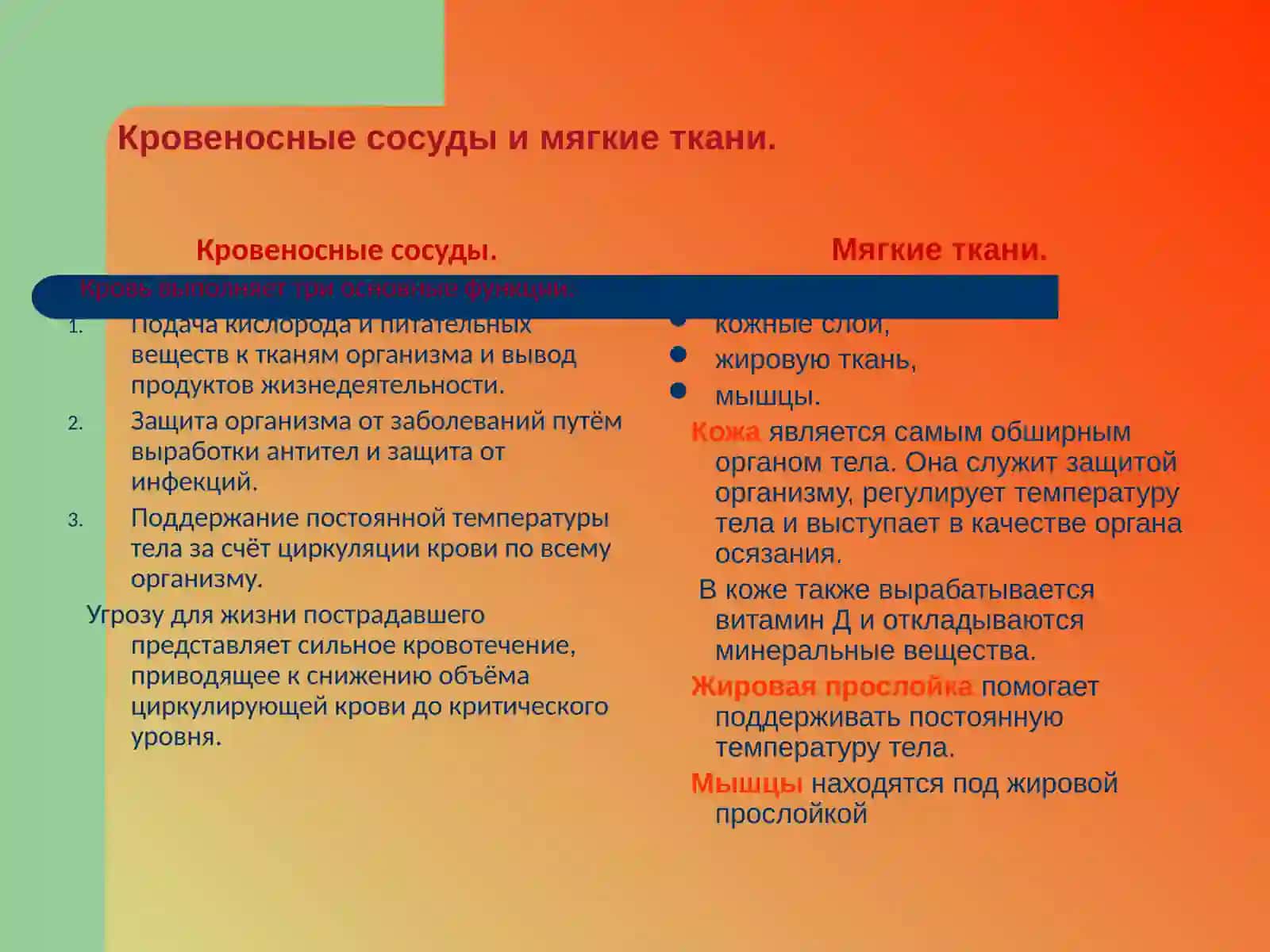 Кровотечение в травматологии 2