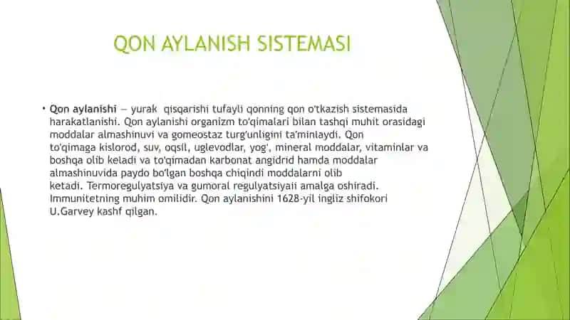 Qon Aylanish Sistemasi 2