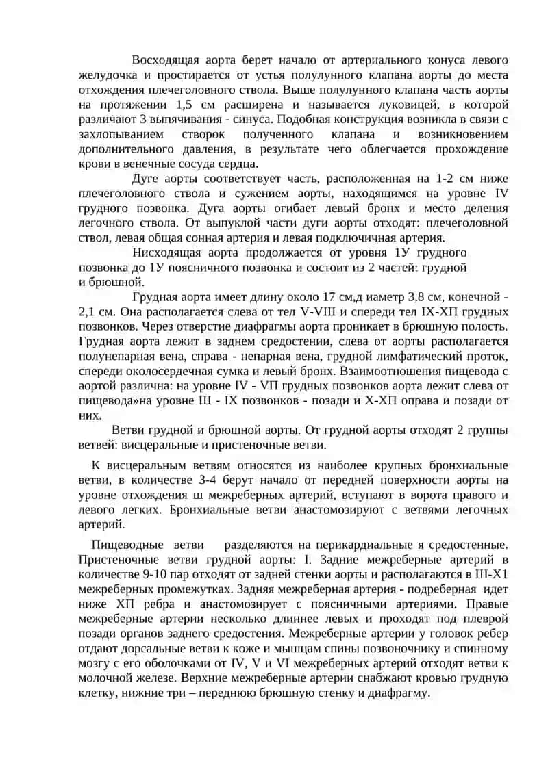 Сосуды малого круга кровообращения 2