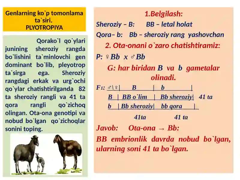 PLYOTROPIYA 2